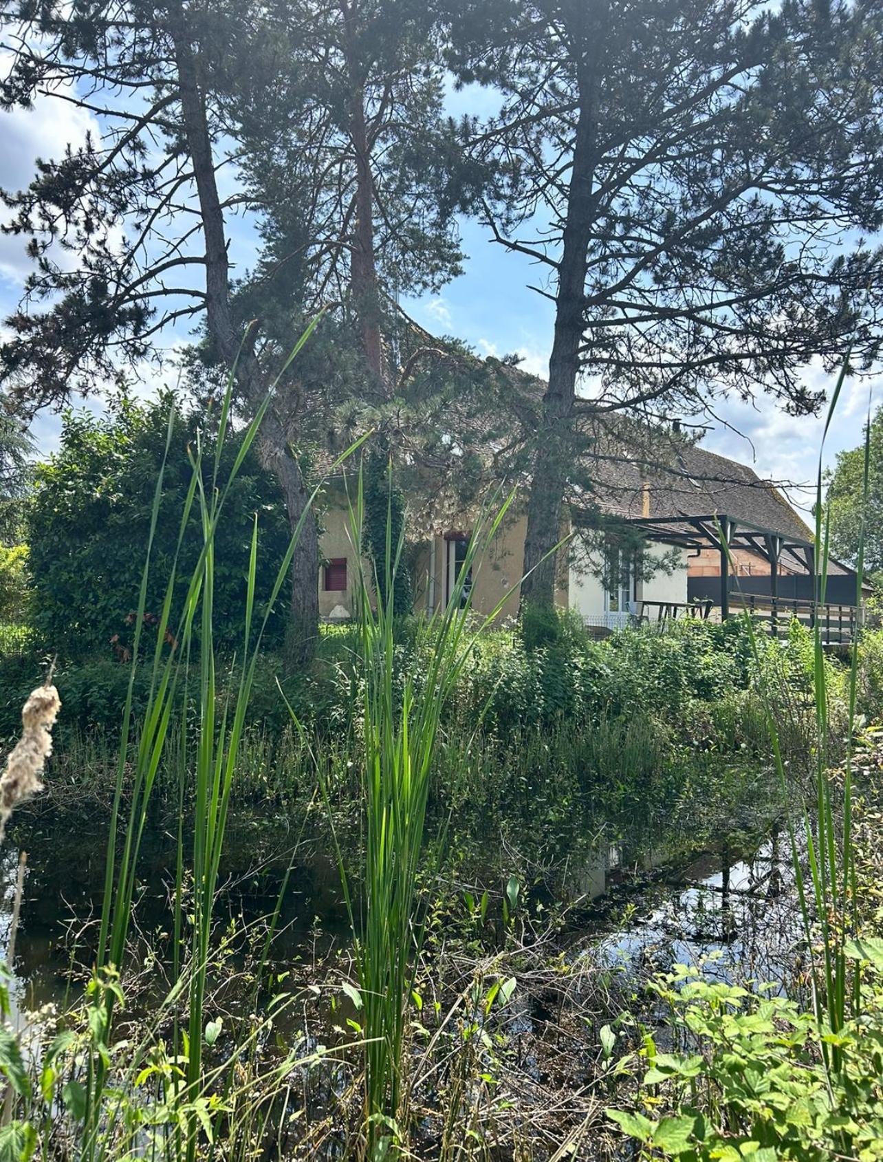 Le Gite Du Chateau Mouton Chatenoy-le-Royal Kültér fotó