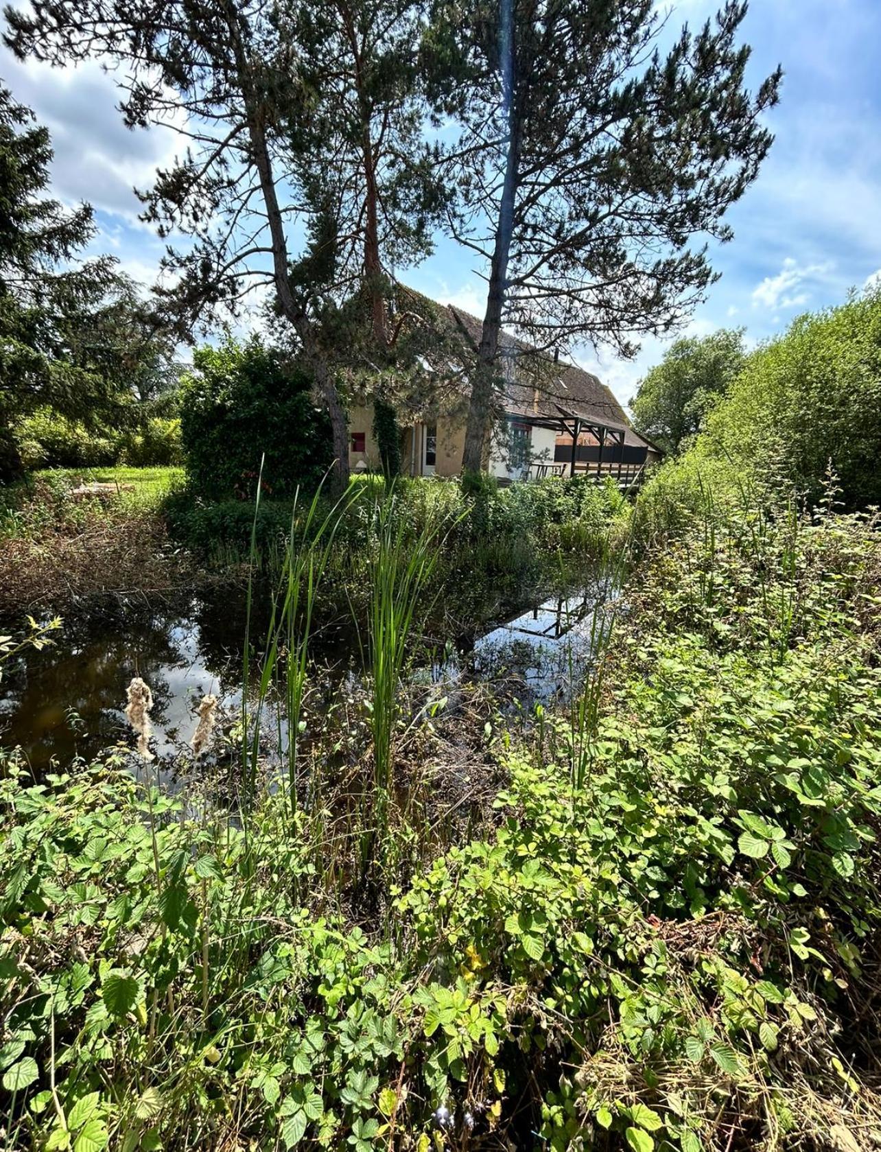 Le Gite Du Chateau Mouton Chatenoy-le-Royal Kültér fotó